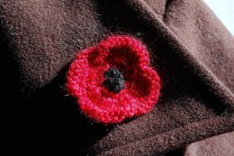A Poppy for Remembrance