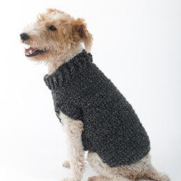 Poet Dog Sweater