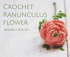 Ranunculus Flower