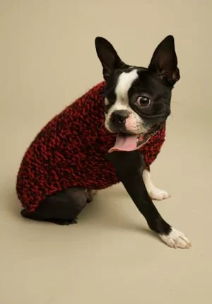 Need for Tweed Dog Sweater Pattern (Knit)
