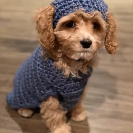 Boychick's First Sweater and Hat (Crochet)