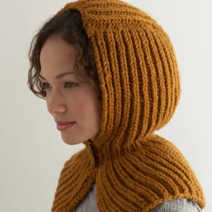 Seasonably Chic Hood Pattern (Knit)