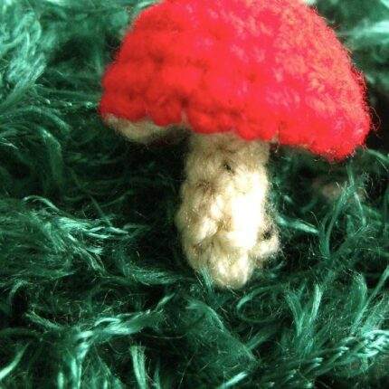 Crochet Mushrooms