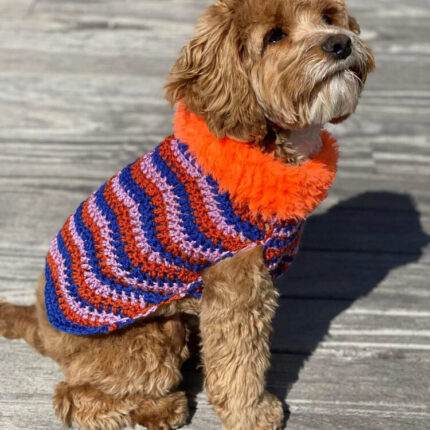Pluto Dog Sweater