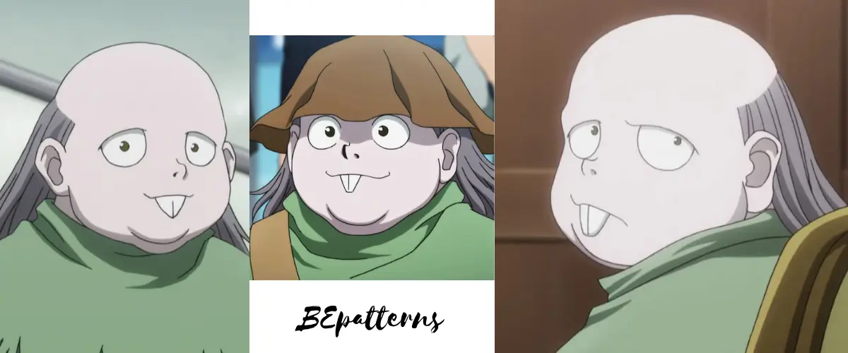 hunter x hunter melody